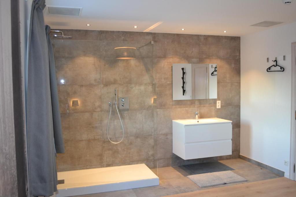 a bathroom with a shower with a sink and a toilet at Vue d'en Haut in Durbuy