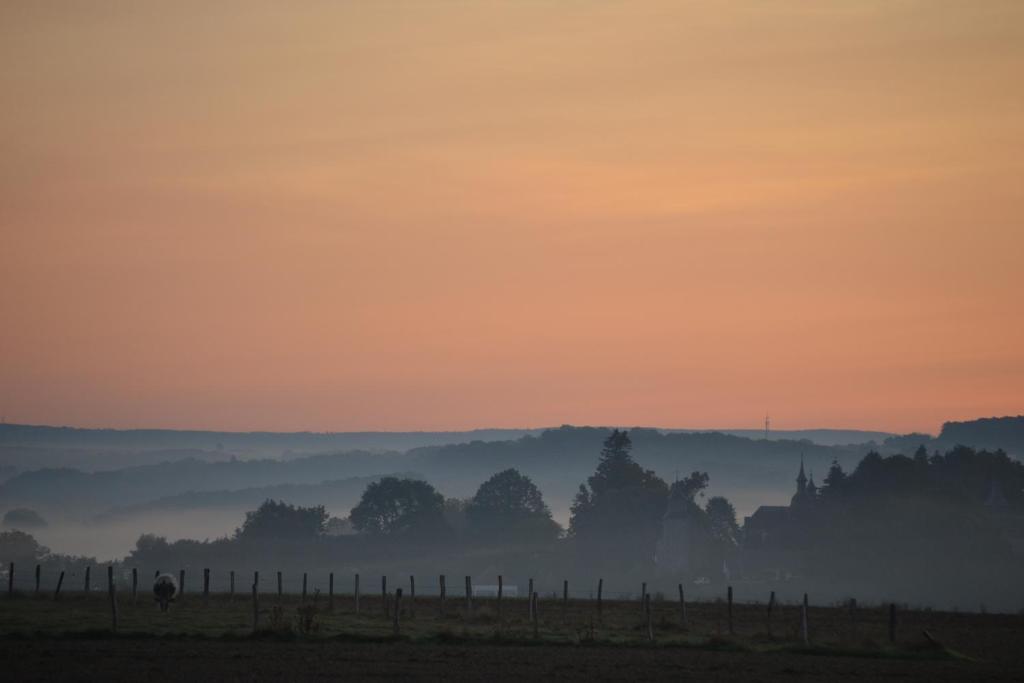a foggy field with trees and a fence at sunset at Vue d'en Haut in Durbuy
