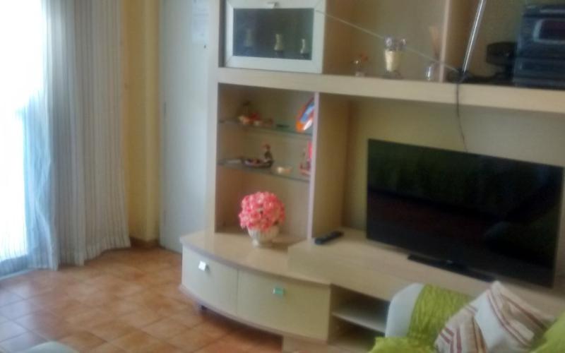 a living room with a flat screen tv and a couch at Apartment Vila Tupi in Praia Grande