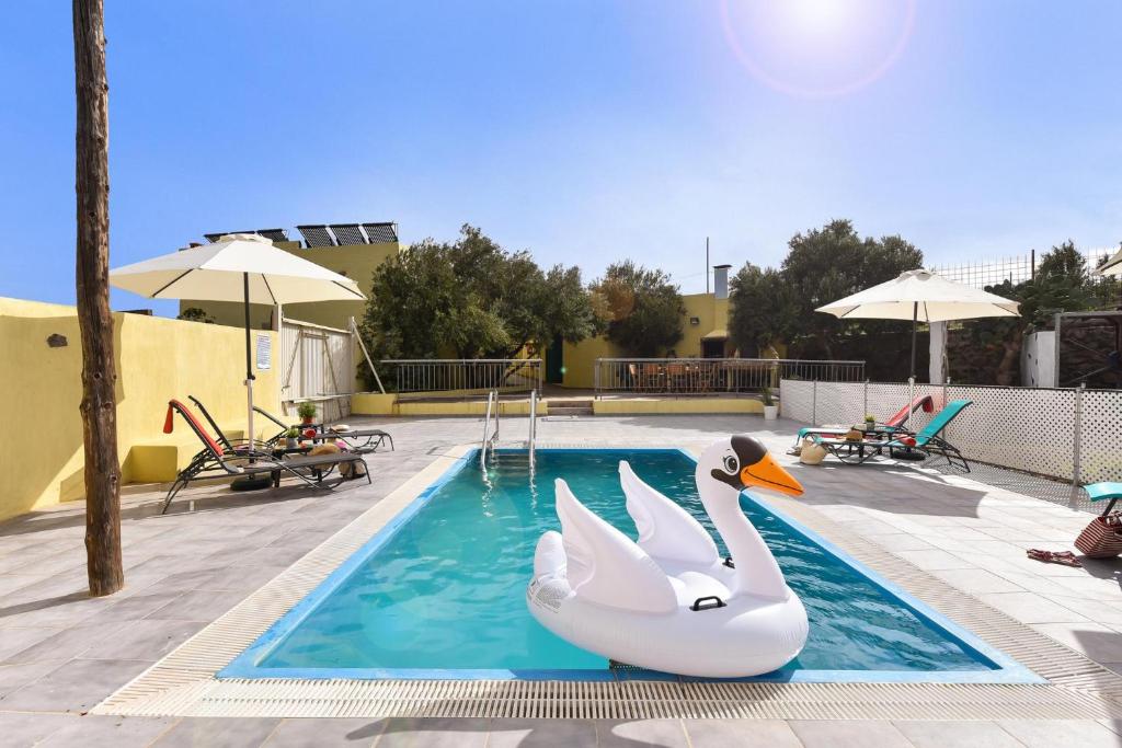 two swans in a swimming pool at a resort at Los Algodones Cottage with Pool in Ingenio