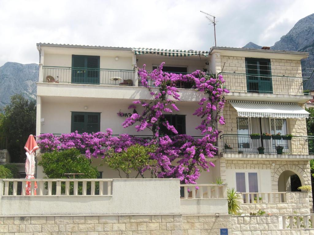 馬卡爾斯卡的住宿－盧斯別墅公寓，一座在前面布满紫色花的建筑