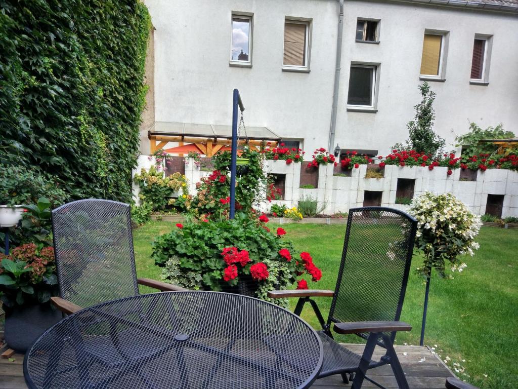 Zahrada ubytování Pension Wehner