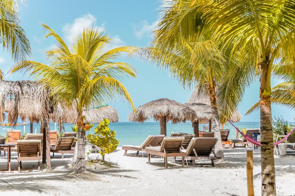 a group of chairs and palm trees on a beach at Zomay Beachfront Holbox in Holbox Island