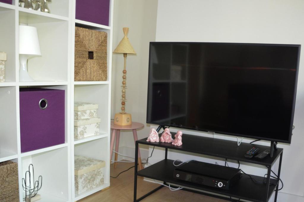 TV a/nebo společenská místnost v ubytování Antwerp old town appartment