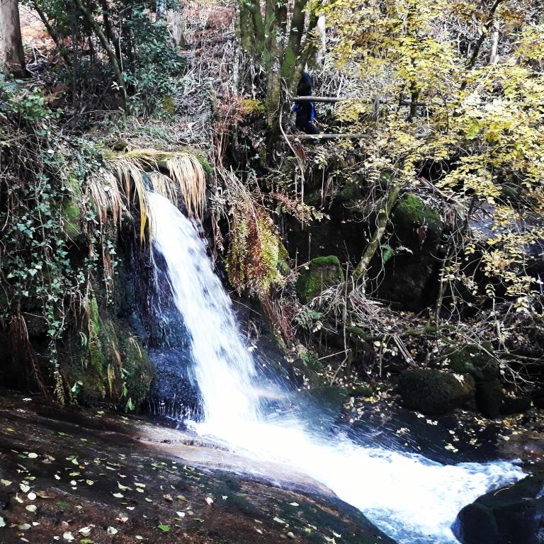 El Atico de Villalmar - 5