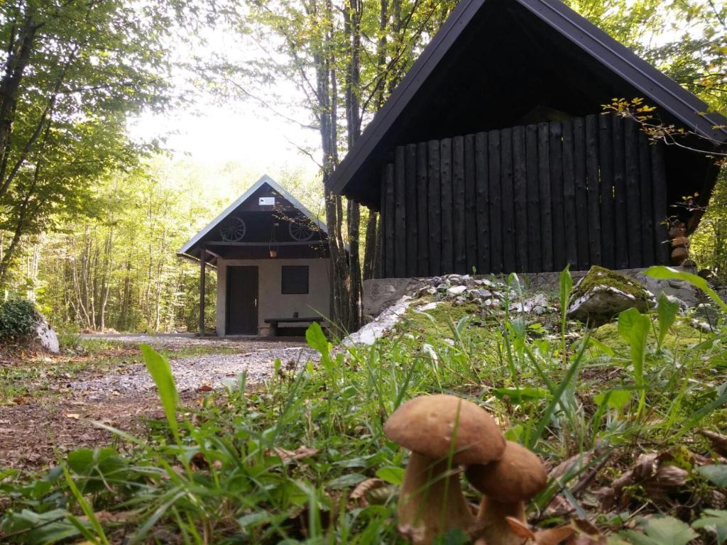 Apartment Rašće - 10