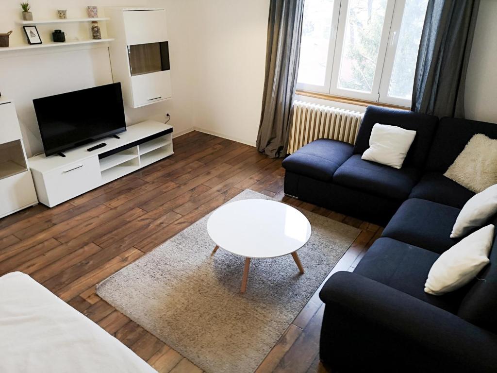 - un salon avec un canapé et une table dans l'établissement FilinHome Stefanovica Suite 2, à Novi Sad