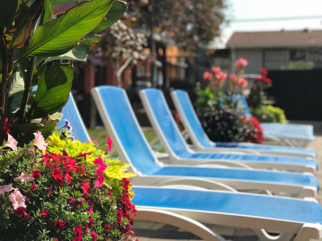 Zahrada ubytování Sahara Courtyard Inn & Suites Osoyoos