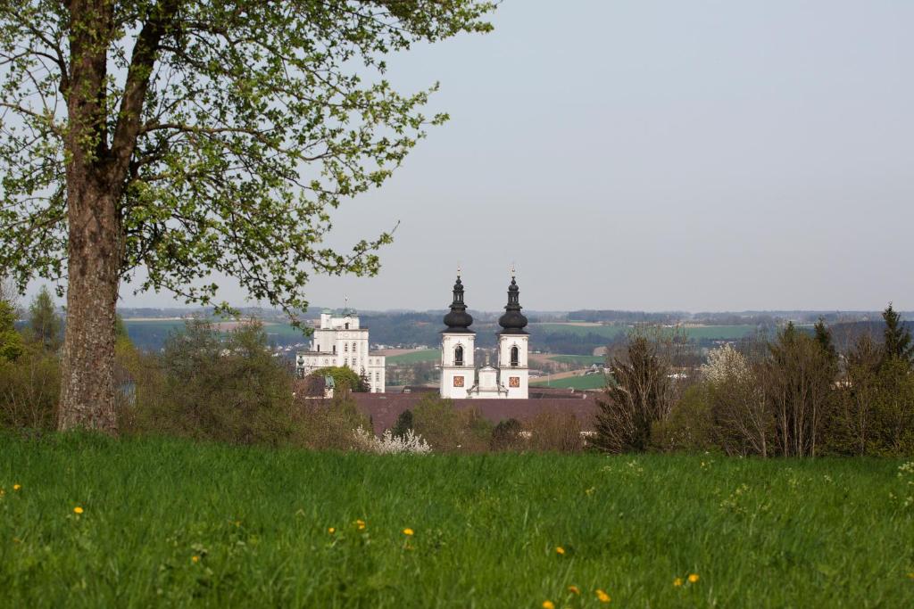 Příroda nedaleko hotelu