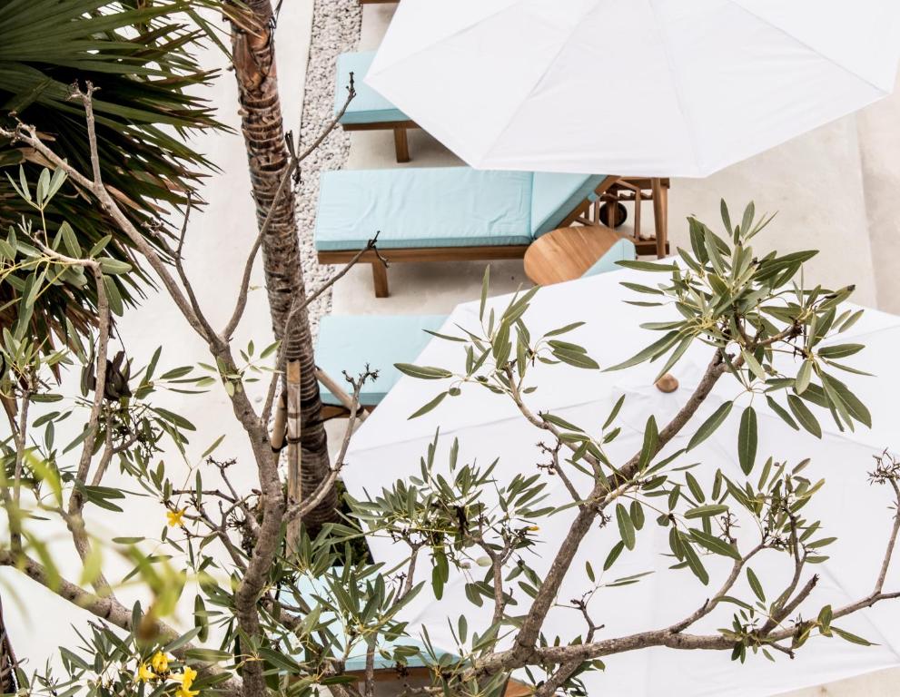 Fotografie z fotogalerie ubytování Kos One Hostel v destinaci Canggu