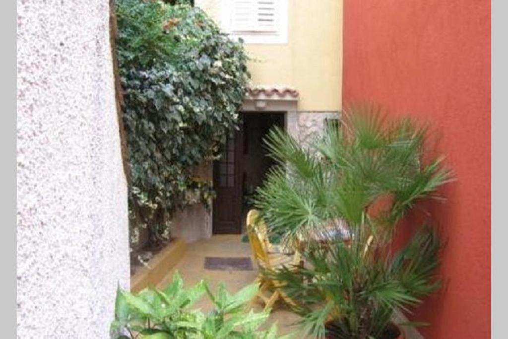 Κήπος έξω από το Family house in the old center