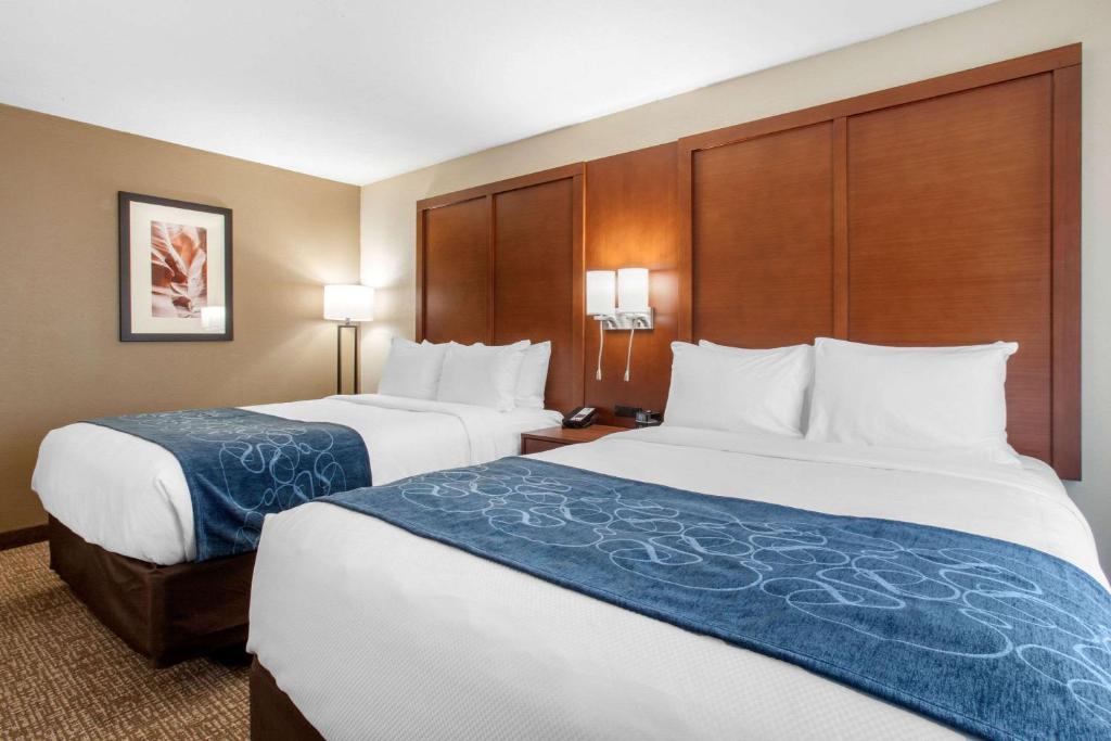 Comfort Inn & Suites Pinetop Show Low photo