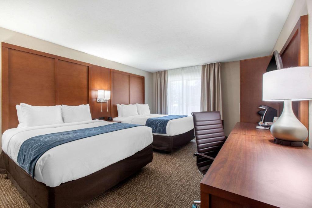 Comfort Inn & Suites Pinetop Show Low photo