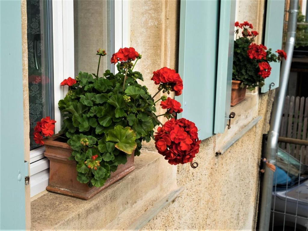Balkón nebo terasa v ubytování Ferienhaus Zur Alten Dame