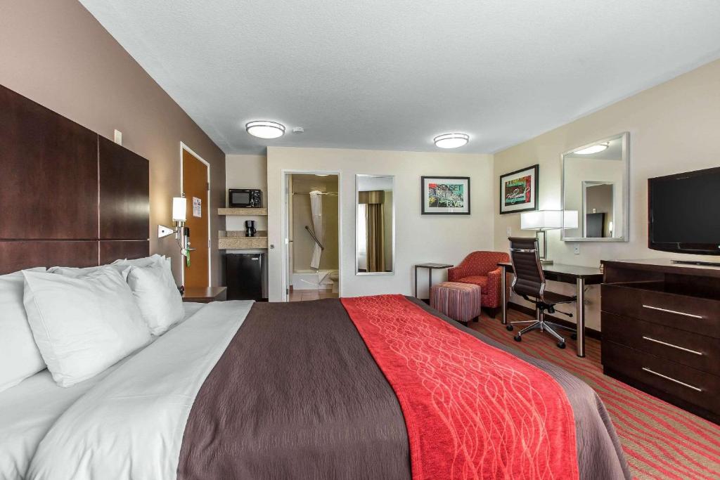 Comfort Inn Los Angeles near Hollywood - Standard Room, 1 King Bed, Non Smoking