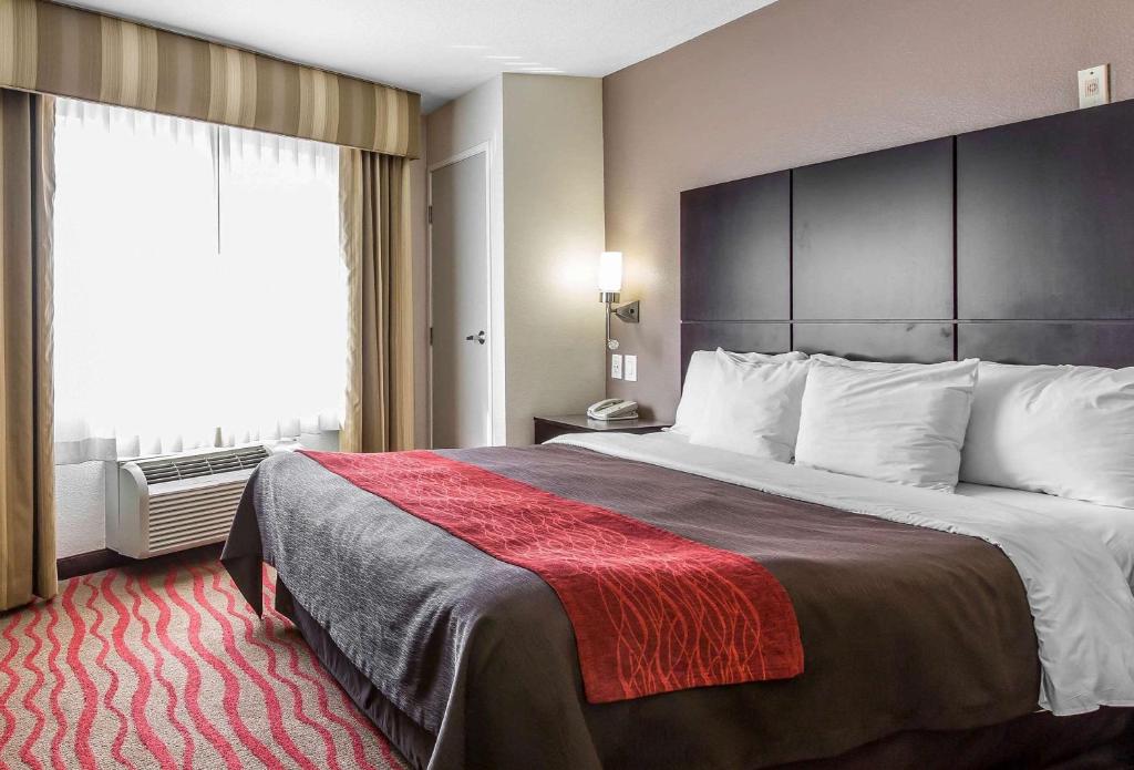 Comfort Inn Los Angeles near Hollywood - Standard Room, 1 Queen Bed, Non Smoking