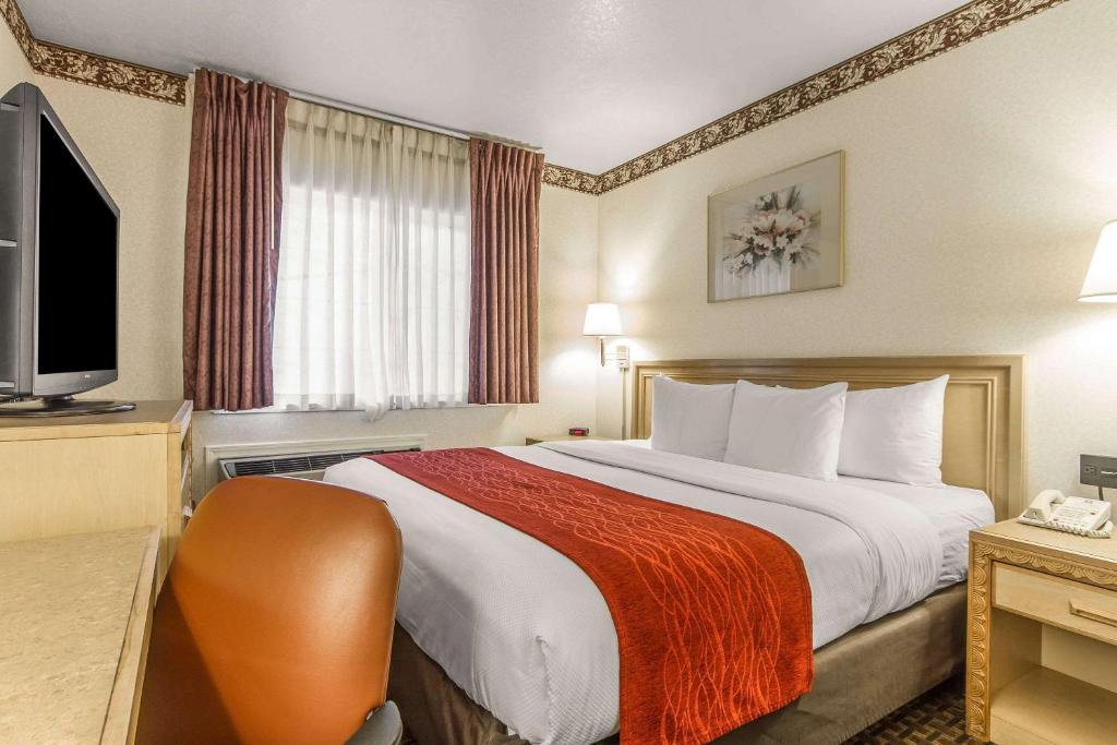 Comfort Inn Palo Alto photo