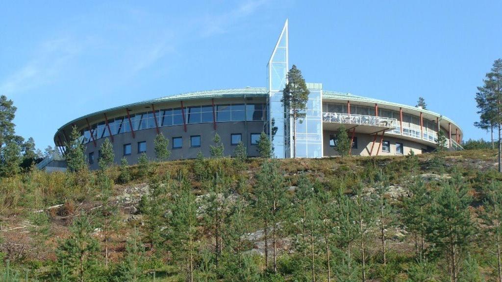 Descripción de la imagen