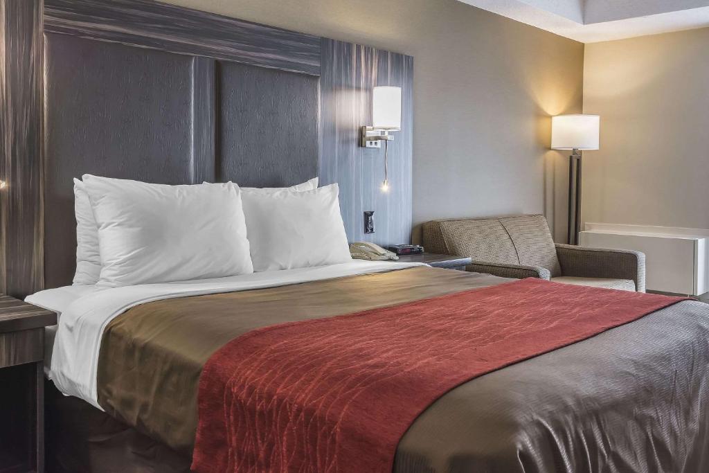 Comfort Inn Trenton - Queen Room - Segundo Piso - Sin Mascotas