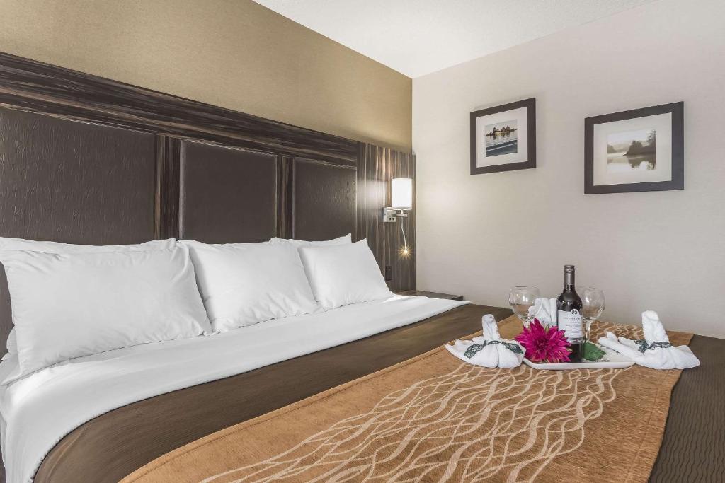 Comfort Inn Trenton - Room King Standard - Second Floor - Sin Mascotas