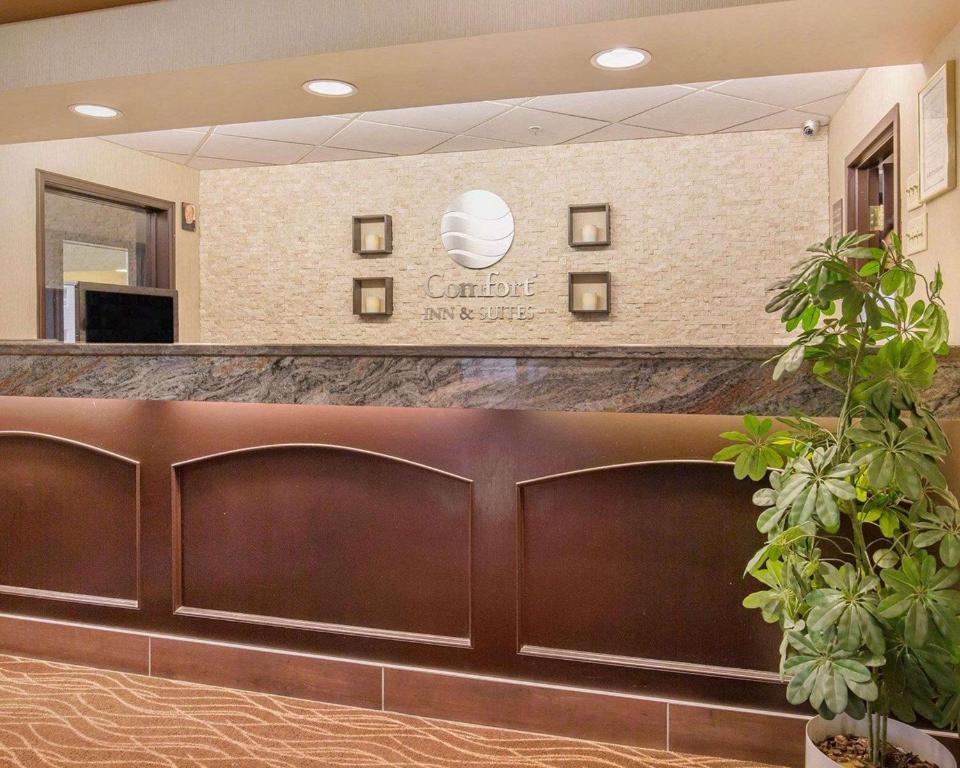 Comfort Inn & Suites University - Resim 26