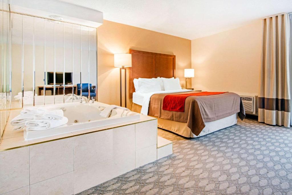 Comfort Inn Fallsview - Resim 2