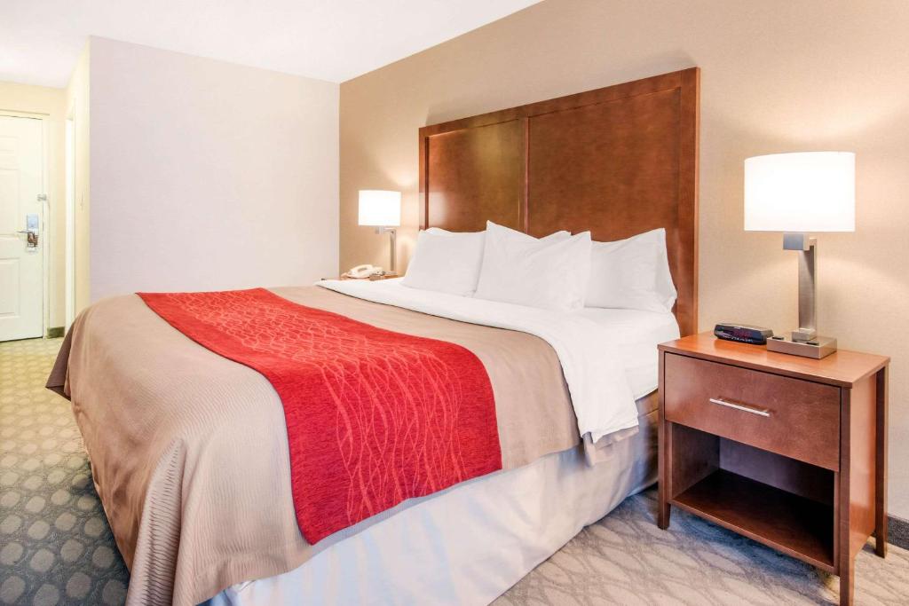 Comfort Inn Fallsview - Resim 16