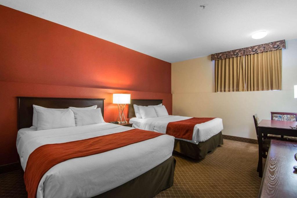 Comfort Inn & Suites Airport South - Resim 38