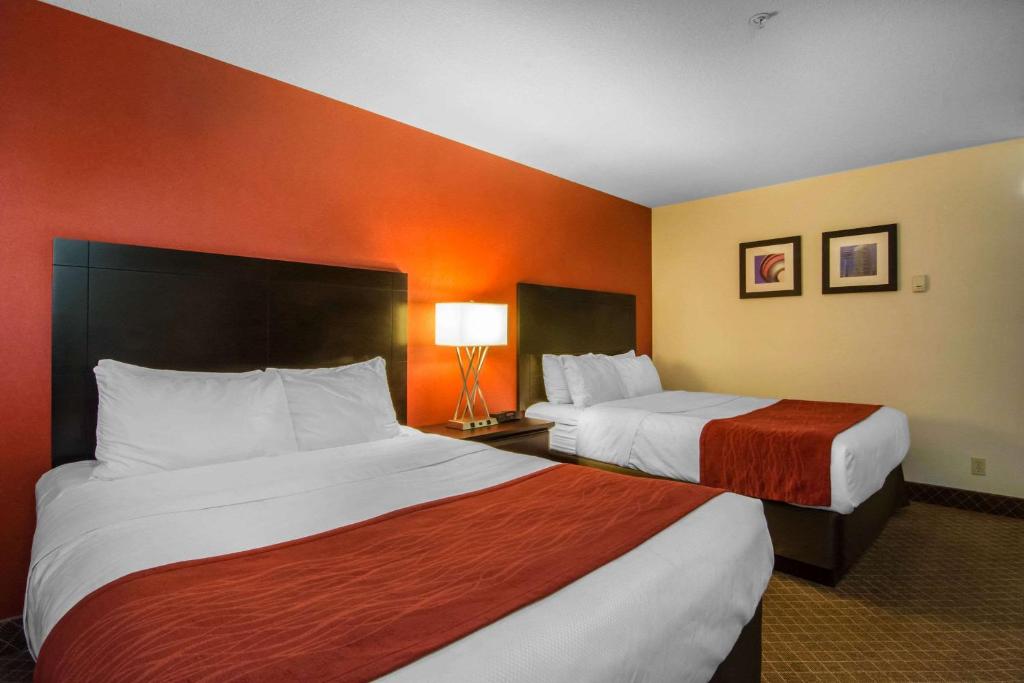 Comfort Inn & Suites Airport South - Resim 33