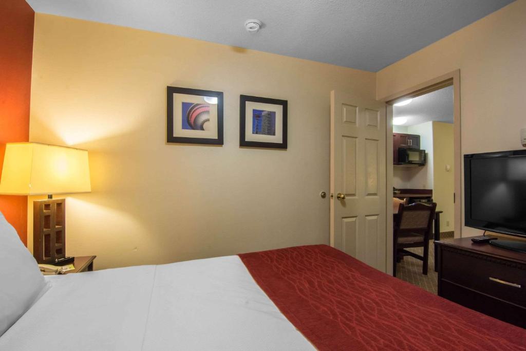 Comfort Inn & Suites Airport South - Resim 31