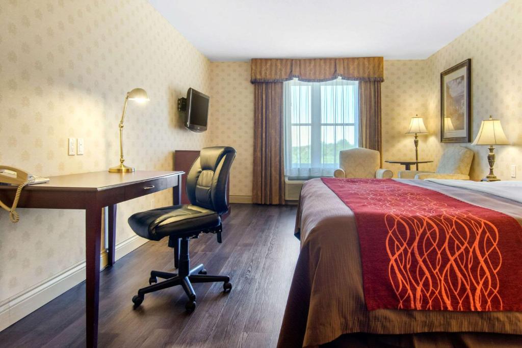 Comfort Inn & Suites - Room King - Non-fumeur