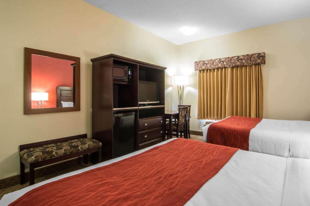 Comfort Inn & Suites Airport South - Resim 16