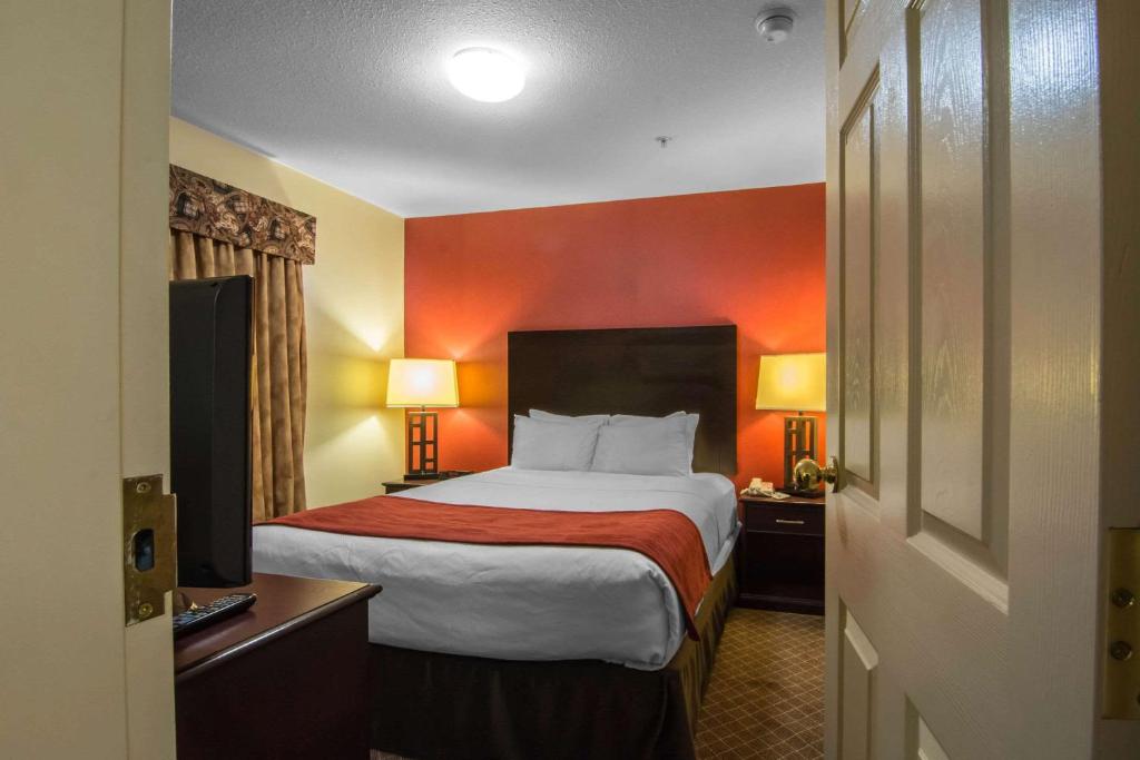 Comfort Inn & Suites Airport South - Resim 15