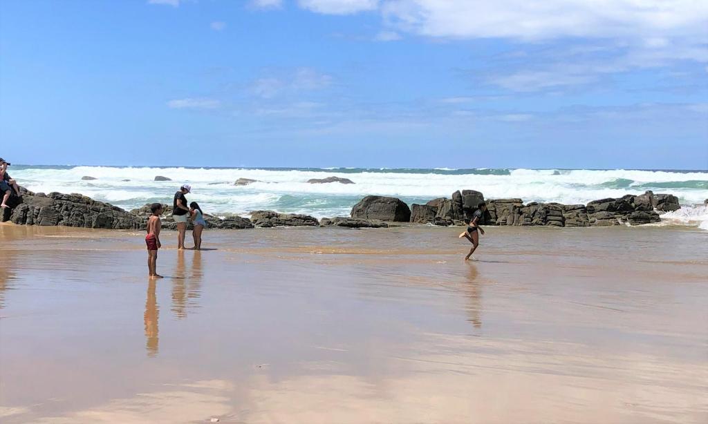 Sea Paradise - Image 16
