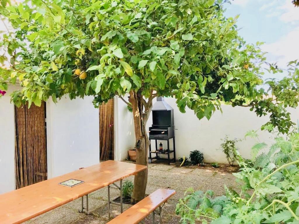 Zahrada ubytování Xaloc CostaBravaSi