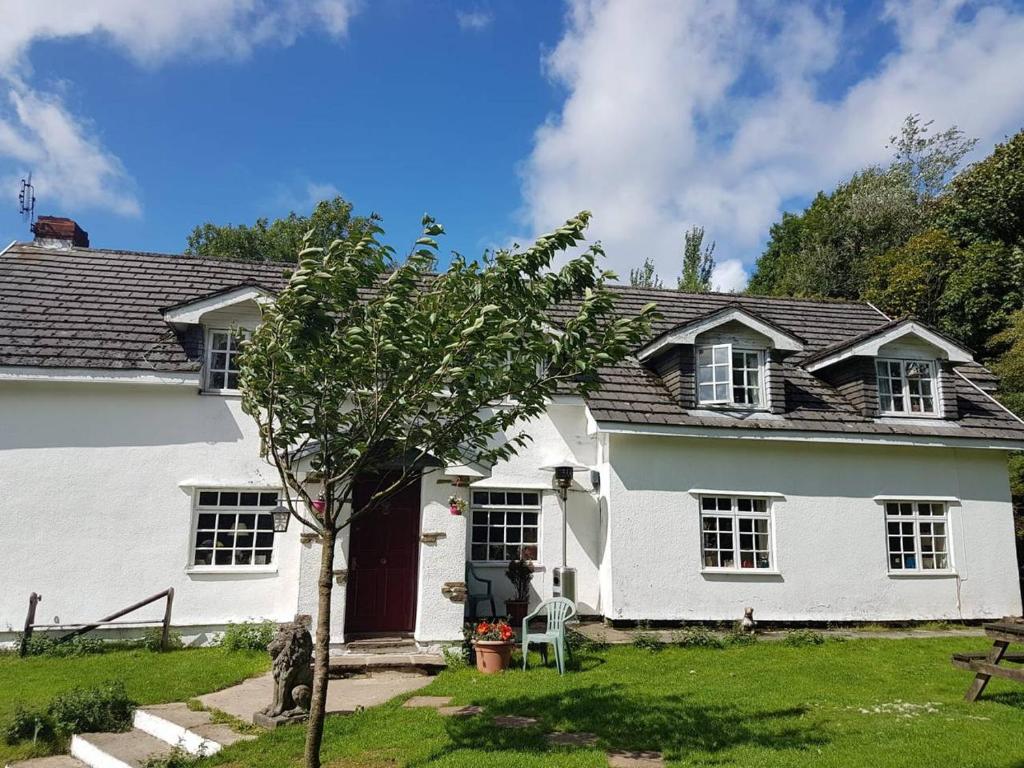 a white house with a tree in the yard at Coynant Farm Guesthouse - Farm Park Stay in Swansea