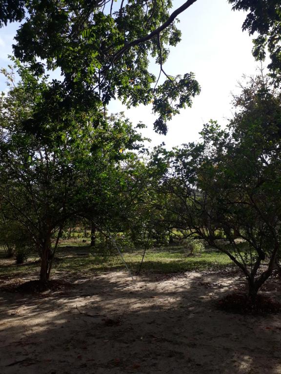  Sitio Santo Antonio