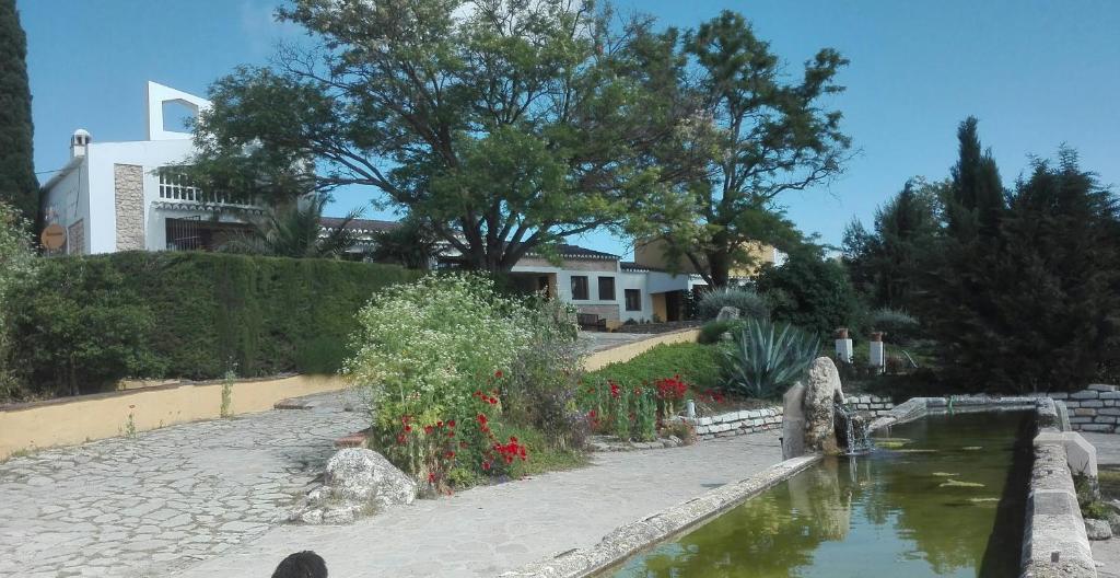a garden with a pond in front of a house at La Escuela del Campo in Setenil