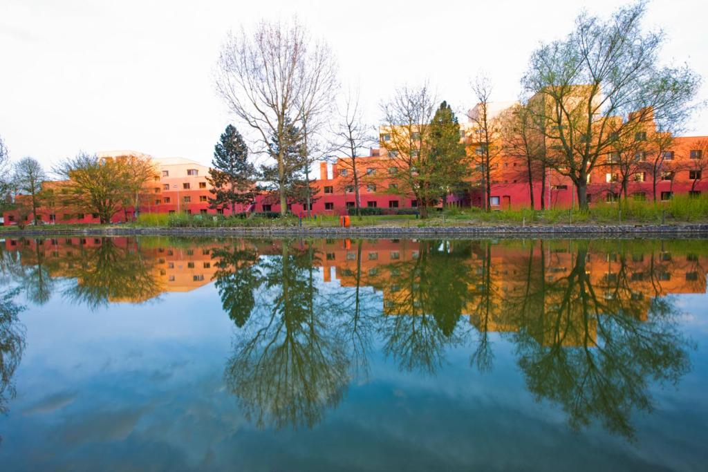 Paisaje cerca de este hotel
