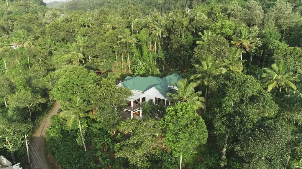 an aerial view of a house in the forest at Coffee and Pepper Plantation Homestay in Thekkady