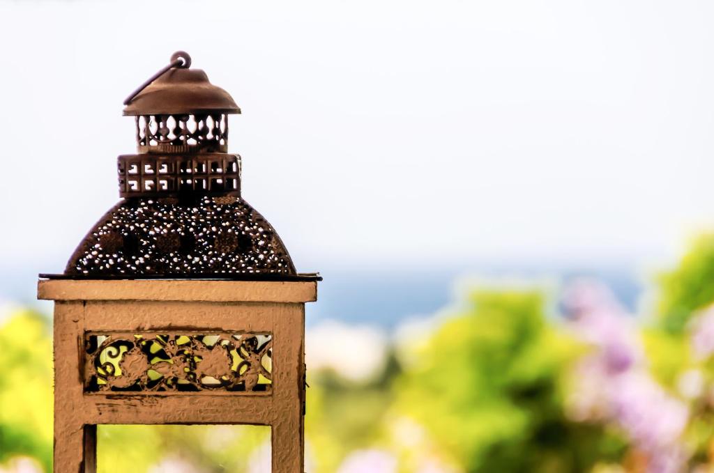 Fotografie z fotogalerie ubytování 4reasons hotel + bistro | 12+ v destinaci Yalıkavak