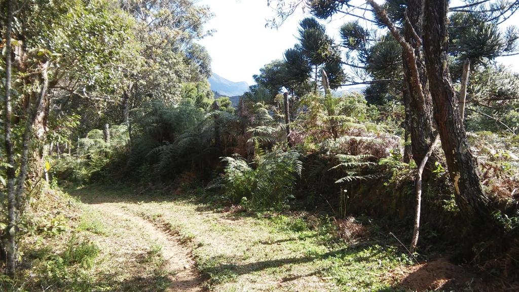 Cabanas da Fazenda