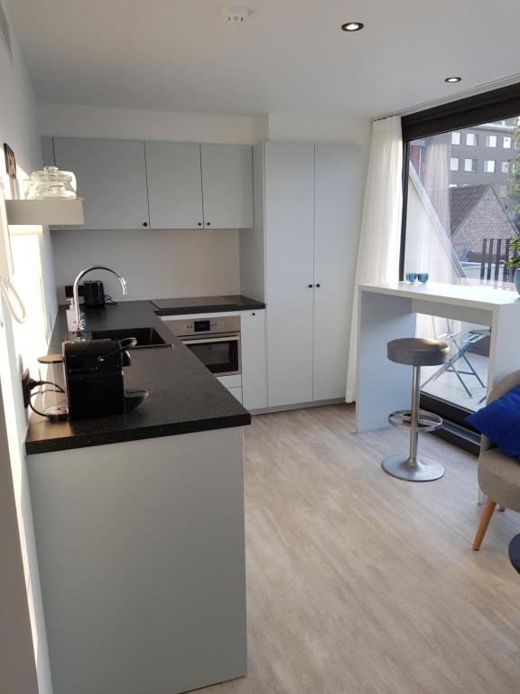 Kuchyň nebo kuchyňský kout v ubytování Homey - Kortrijk