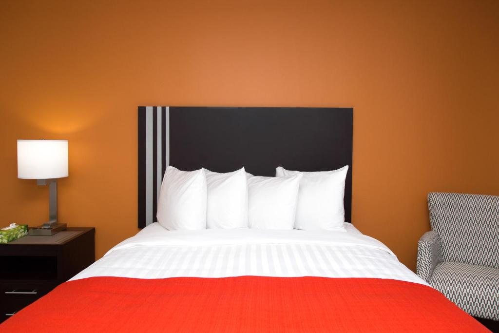 Hotel Robin Hood - Sala De Reina De Lujo