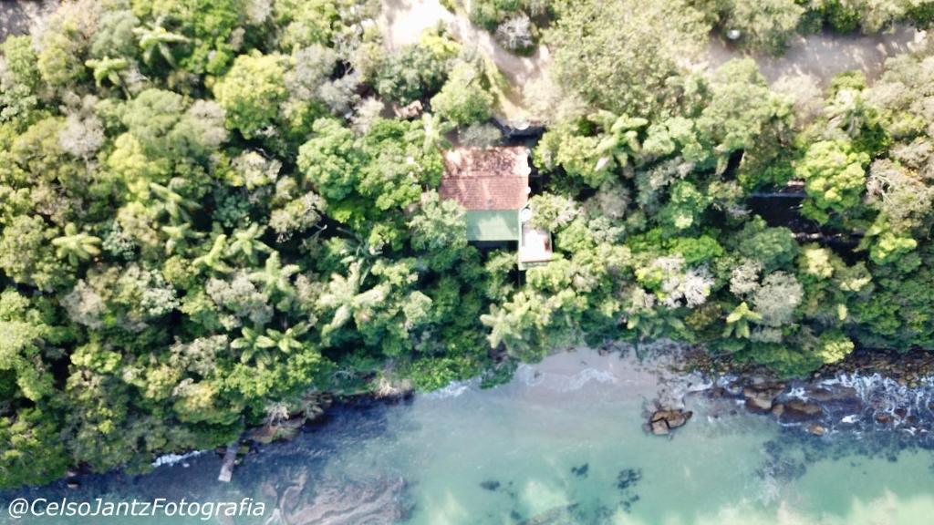  Paraíso das Tartarugas