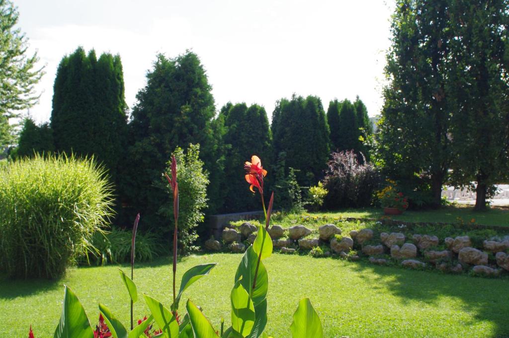 Ágnes Hotel - Resim 20