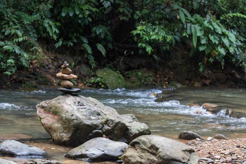 una pila de rocas sentadas en una roca en un río en Rain Forest Guest House, en Bukit Lawang