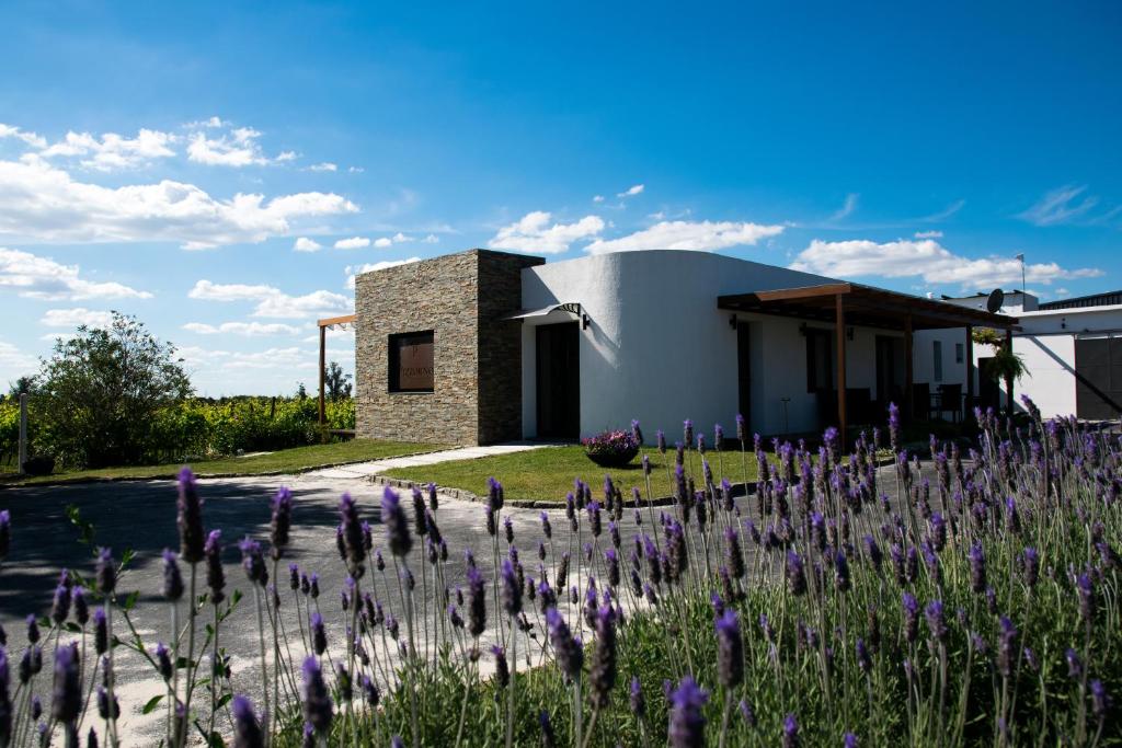 una casa con flores púrpuras delante de ella en Pizzorno Lodge & Wine, en Progreso