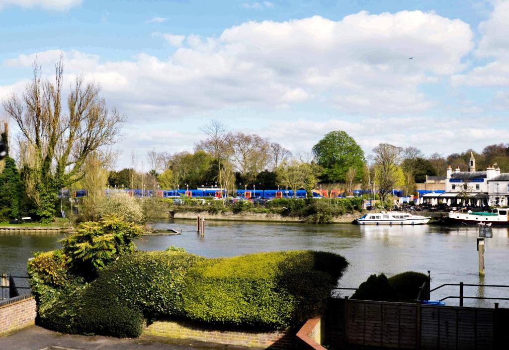 a view of a river with a bush in the foreground at STABLE HOUSE - Eton WINDSOR in Windsor