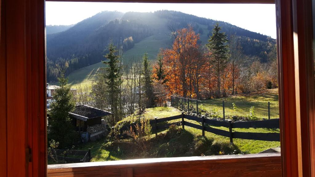 Príroda v okolí apartmánu